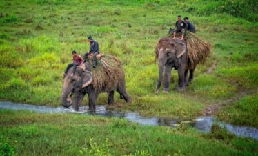 Nepal cultural tour — Kathmandu temple and Pokhara mountains