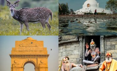 India Nepal tour package — Taj Mahal at sunrise journey