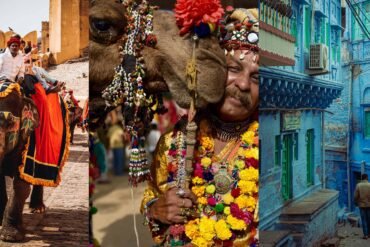 Rajasthan tourism collage featuring painted elephant at Amber Fort, decorated camel with Pushkar local, and blue city of Jodhpur