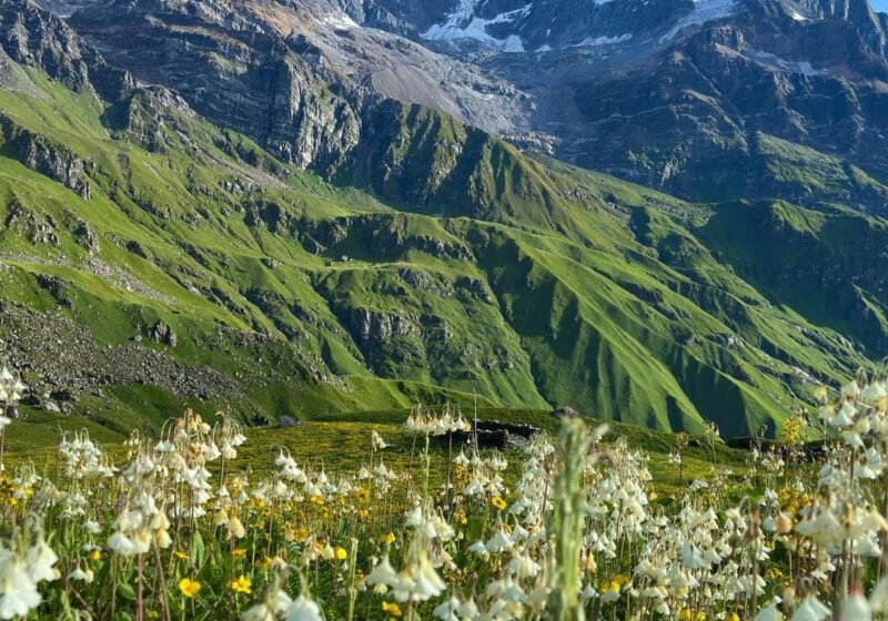 Annapurna Base Camp Trek 11 Days