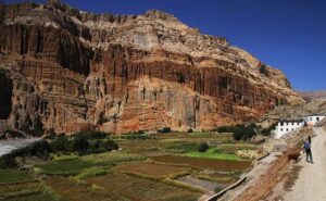 Cliff caves cut into the eroded rock above Chhoser in Upper Mustang
