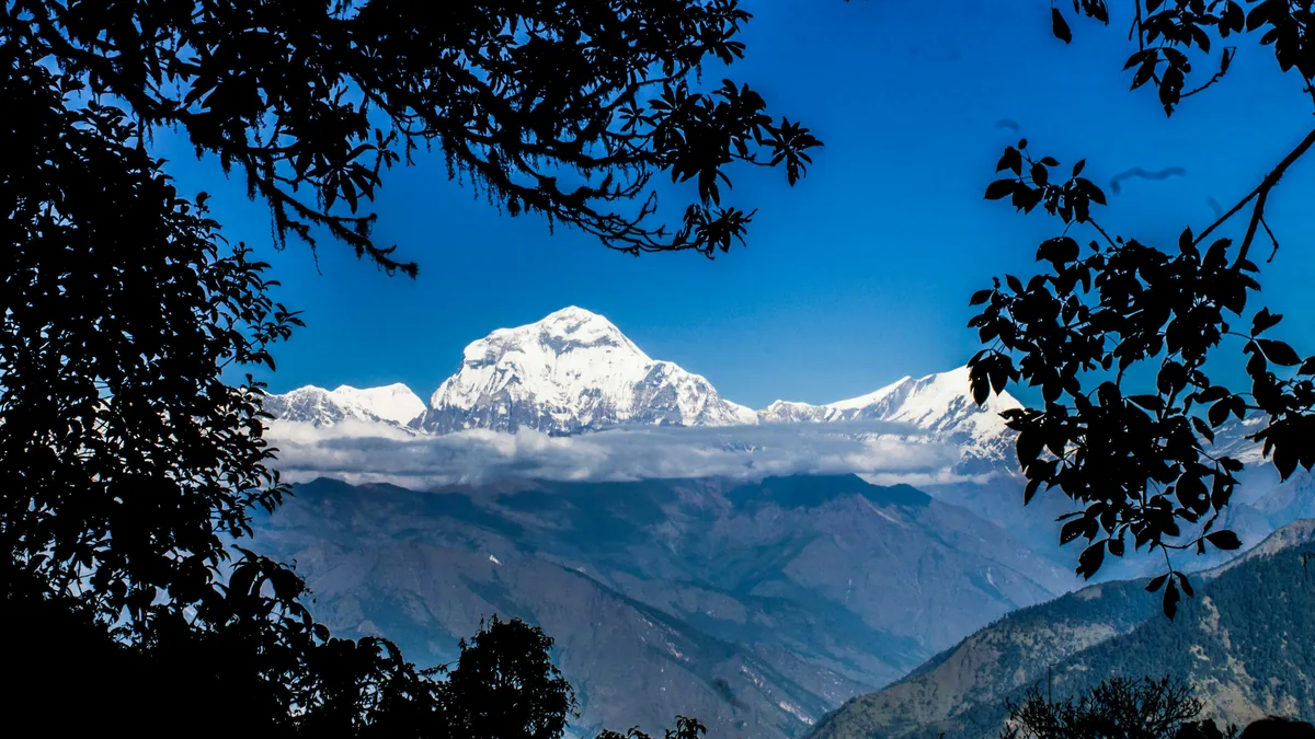 Dhaulagiri from Ghorepani – Best Treks in Nepal Best treks in Nepal: Dhaulagiri at sunrise from the Ghorepani ridge on the Poon Hill trek