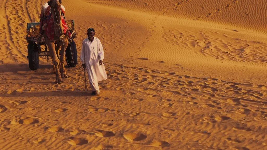 Camel cart crossing sand dunes in the Thar Desert near Jaisalmer Rajasthan