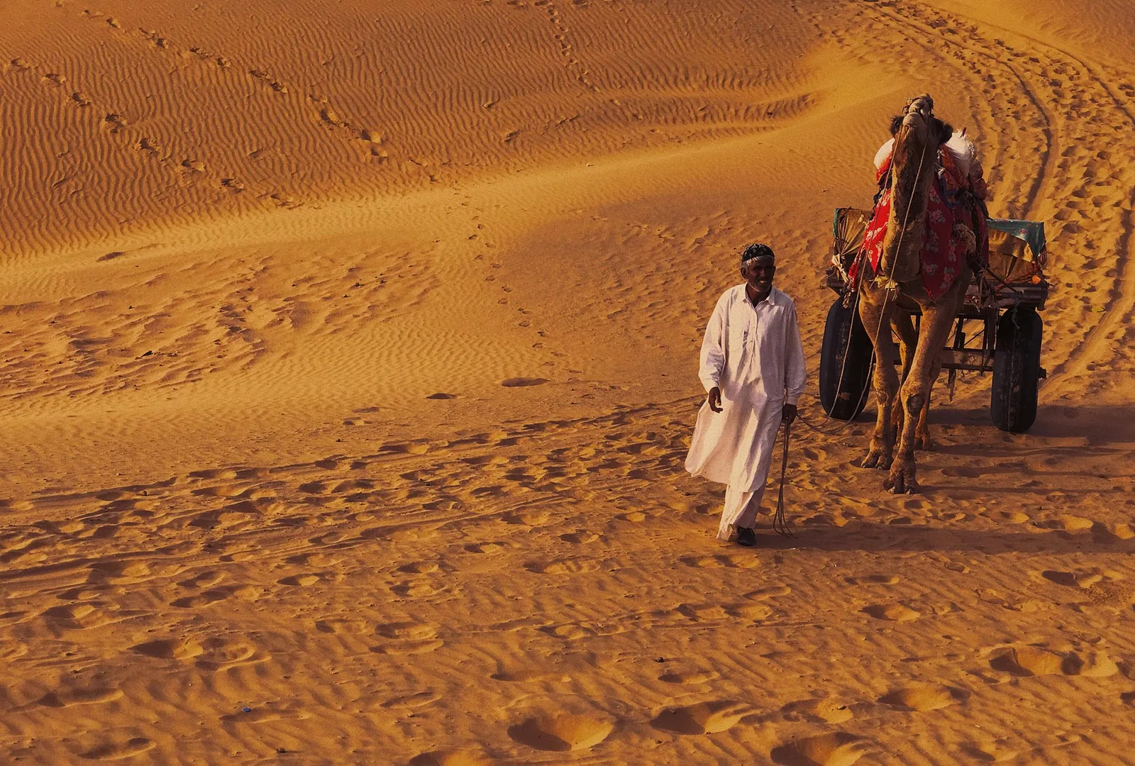 A camel and handler crossing the dunes of the Thar Desert, Rajasthan